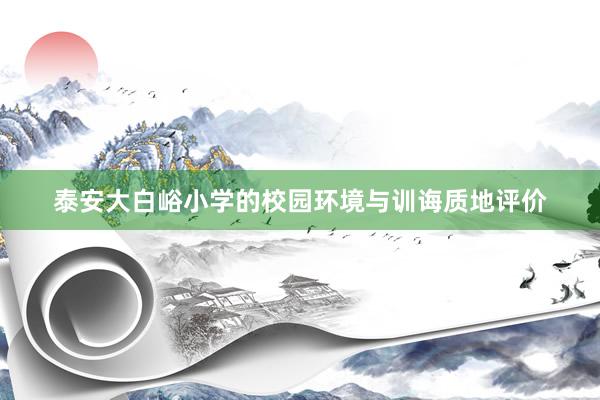 泰安大白峪小学的校园环境与训诲质地评价