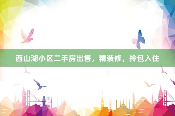 西山湖小区二手房出售，精装修，拎包入住