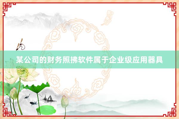 某公司的财务照拂软件属于企业级应用器具