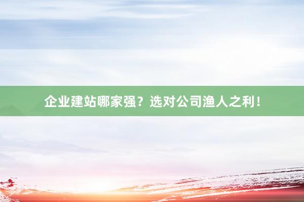 企业建站哪家强？选对公司渔人之利！