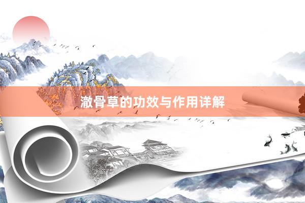 澈骨草的功效与作用详解