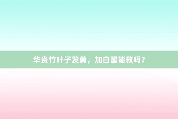 华贵竹叶子发黄，加白醋能救吗？