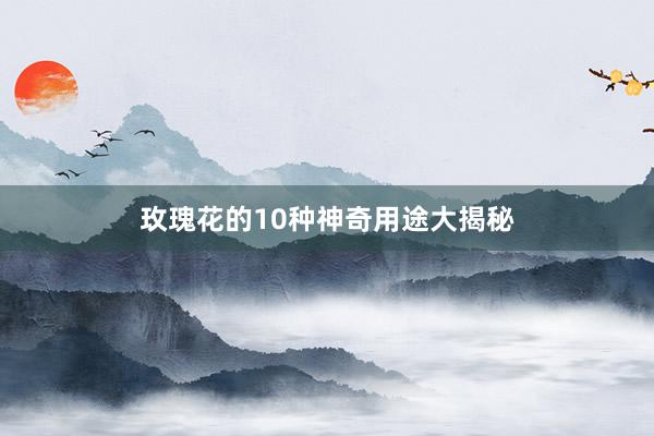 玫瑰花的10种神奇用途大揭秘